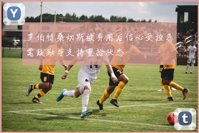 罗伯特桑切斯被弃用后信心受挫急需鼓励与支持重拾状态