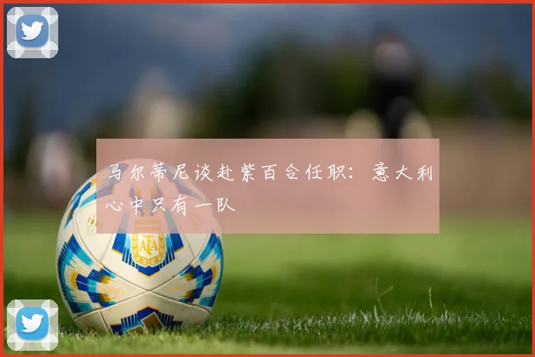 马尔蒂尼谈赴紫百合任职：意大利心中只有一队